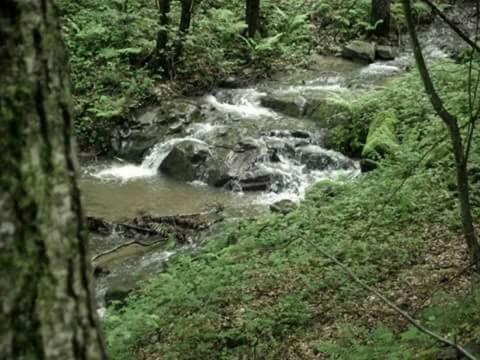 Podgorić Kuca Za Odmor"Miran San" 빌라 외부 사진